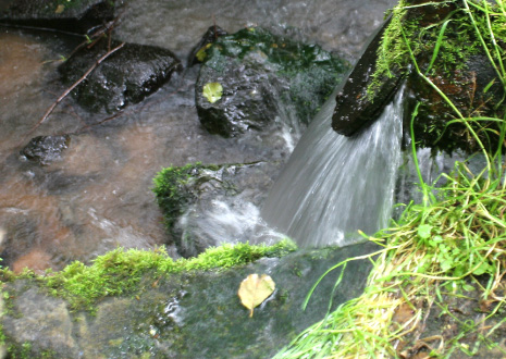 Hochwasserschutz Hochwasserschutz